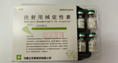 Gonadotropina coriónica para la inyección, HCG, polvo blanco, estándar de USP